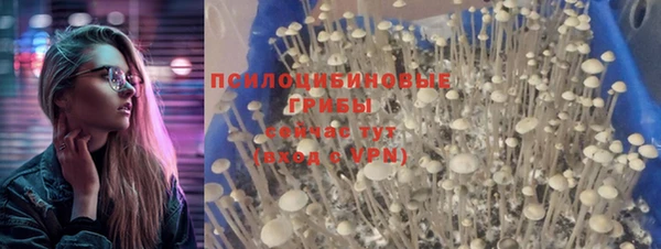 ECSTASY Балахна