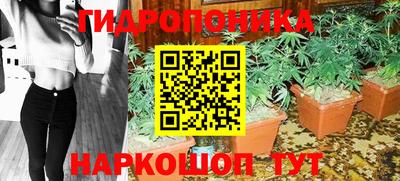 крисы Кунгур