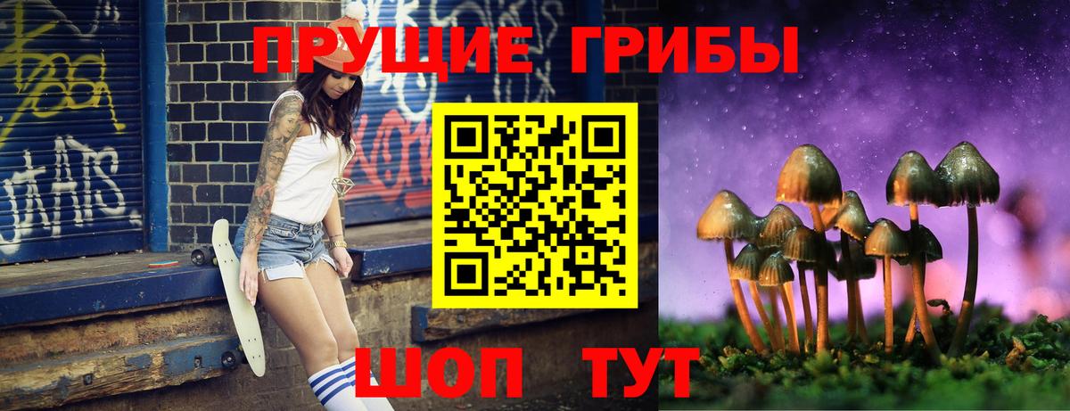Псилоцибиновые грибы MAGIC MUSHROOMS Корсаков